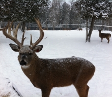 12.15.2013 Pictures from Iphone