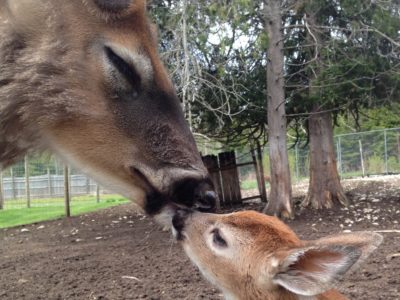 IMG_0012 (2)a father’s love